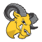 Delaware Valley Aggies