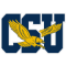 Coppin State Eagles (F)