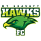 Gravatt Hawks