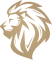 Lyon Gaming Academy
