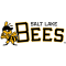 Salt Lake Bees