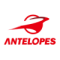 Toyota Antelopes (F)