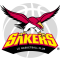 LG Sakers