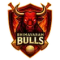 Bhimavaram Bulls