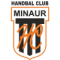 CS Minaur Baia Mare