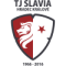 Hradec Kralove (W)