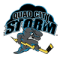Quad City Storm
