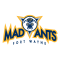 Fort Wayne Mad Ants
