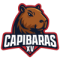 Capibaras XV