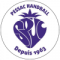Stade Pessacais Handball (W)