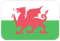 Wales U16