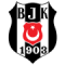 Besiktas SRL