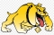 Bowie State Bulldogs (W)