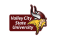 Valley City State Vikings