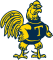 Trinity Bantams