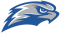 Concordia Wisconsin Falcons