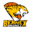 Bernex Basket