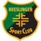 HEESLINGER