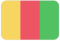 Guinea SRL