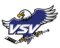 Panaceo Vsv