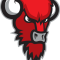 Bisons Loimaa
