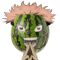 WATERMEL0N