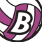 Brezovica