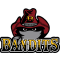 Brisbane Bandits