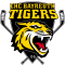 Bayreuth Tigers
