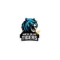 Kochi Blue Tigers