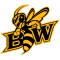 Baldwin Wallace Yellow Jackets