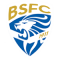 Brescia Calcio 19