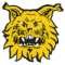 Ilves Tampere 20