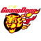 Guangdong Southern Tigers U21