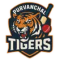 Purvanchal Tigers