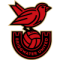 Bridgwater United