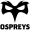 Ospreys