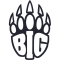 BIG Academy