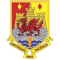 Carmarthen Quins