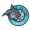 Lynx Liberec