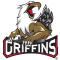 Grand Rapids Griffins