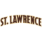 St Lawrence Saints (F)