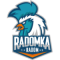 Radomka Radom (F)
