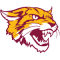 Bethune Cookman Wildcats