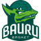 Bauru Basket