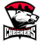 Charlotte Checkers