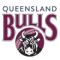 Queensland Bulls