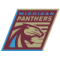 Michigan Panthers