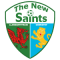 The New Saints Lfc (F)