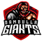 Dambulla Giants